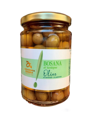 Bosana di Sardegna - olive al naturale